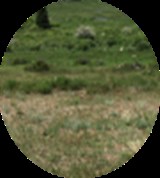 Group Image