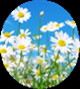 Group Image