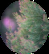 Group Image