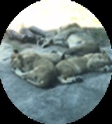 Group Image