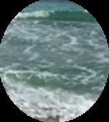 Group Image