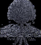 Group Image