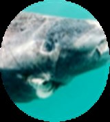 Group Image