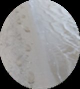 Group Image