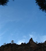 Group Image
