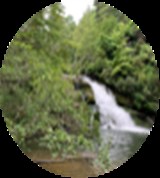 Group Image