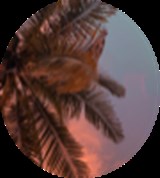 Group Image