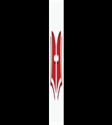 Group Image